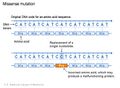 Missense mutation example