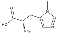 Structure of 3-Methylhistidine