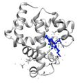 1a6m Oxy-Myoglobin