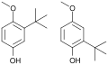 2-tert-Butyl-4-hydroxyanisole and 3-tert-butyl-4-hydroxyanisole 2D structure