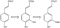 Caffeic Acid Structure