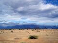 Desert