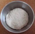 Bread dough in the early stages of proofing