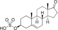 Prasterone_sulfate