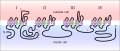 Sodium channel structure