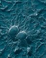Exoenzyme