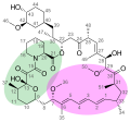 MTOR_inhibitors