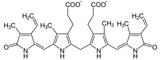 Chemical structure of bilirubin