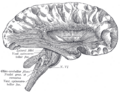Thumbnail for version as of 17:28, 18 May 2026