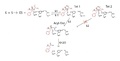 Chymotrypsin Tetrahedral Intermediates