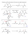 IDH catalytic mechanism