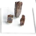 Dysprosium