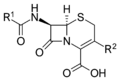 Discovery and development of cephalosporins