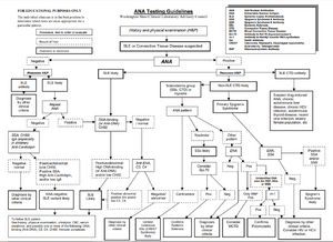 ANA testing guidelines