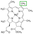Chlorophyll a structure at C-3 position