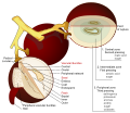 Winemaking