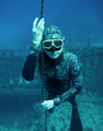 Freediving