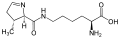 Pyrrolysine structure