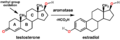 Testosterone to Estradiol Conversion
