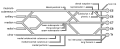 Brachial plexus