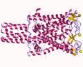 Mechanosensitive channel structure