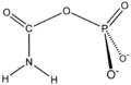 Carbamoyl phosphate synthetase