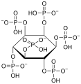 Phytate structure
