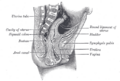 Thumbnail for version as of 17:28, 18 May 2026