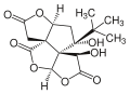 Bilobalide