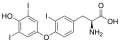 Reverse triiodothyronine