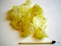 Mastic resin from Pistacia lentiscus