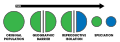 Allopatric speciation