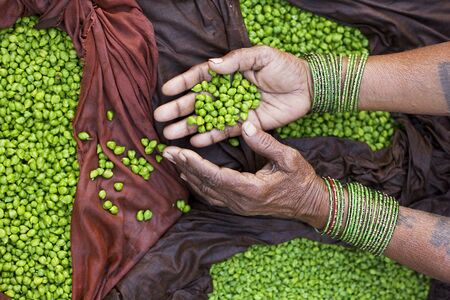 Varanasi green peas
