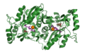 Orotate phosphoribosyltransferase bound to substrates in S. cerevisiae