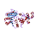 DNA methyltransferase structure 1g55