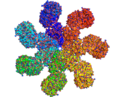 Surface rendering of the apoptosome