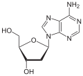 Nucleoside