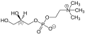 L-alpha-GPC Structural Formula