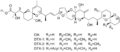 Structures of Okadaic Acid and DTX