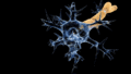 Nerve damage in Guillain–Barré syndrome