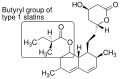Final form of a statin molecule