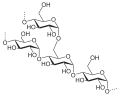 Amylopectin molecular structure