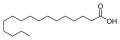 Palmitic acid acyl-CoA synthetase reaction