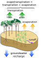 Diagram illustrating the surface water cycle