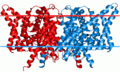 Chloride channel structure