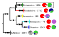 Opsin Phylogeny with the main Groups, the Tetraopsins Highlighted