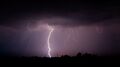 Lightning as a natural source of nitrogen fixation