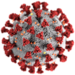 SARS-CoV-2