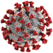 SARS-CoV-2, the virus that causes COVID-19