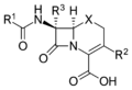 Discovery and development of cephalosporins